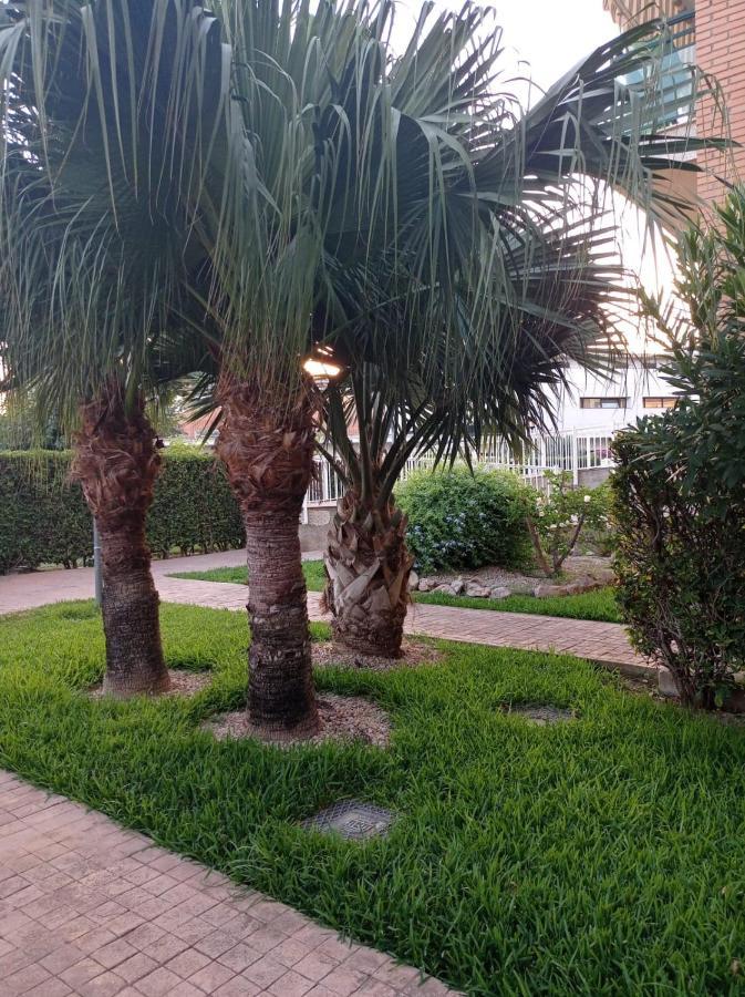 Apartamento Pilar Solo Familias Gandía Exterior foto